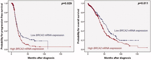 Figure 1. Low BRCA2 mRNA expression is associated with better survival in HGSOC. BRCA2 mRNA expression and PFS (a) and OS (b) in 563 HGSOC patients.