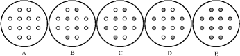 Figure1. Schematic illustration of the experimental design showing one each of the four replicates of each treatment. White circles indicate C. lasiocarpa and dark circles indicate D. angustifolia. (A)and (E) are sketches of the monocultures of C. lasiocarpa and D. angustifolia, while (B), (C), and (D) are sketches of the 2:1, 1:1, and 1:2 mixtures, respectively.