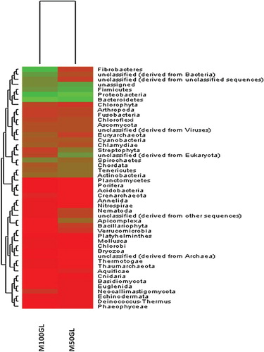 Figure 2. Heatmap showing the taxonomic classification of the M50GL and M100GL groups.