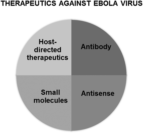 Figure 1. Therapeutics for Ebola virus and other filoviruses consist of four main categories: (a) host-directed approaches, which target the coagulation cascade, cytokine responses, or other dysregulated host responses in order to mitigate pathogenesis; (b) antibody therapy, both monoclonal and polyclonal, targeting viral GP1,2 in order to inhibit viral entry; (c) small molecules, aimed at reducing viral replication or entry; and (d) antisense, which inhibits viral transcription or translation.