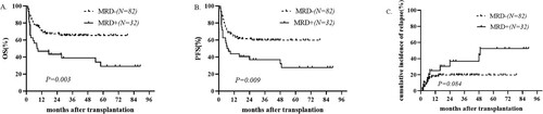 Figure 1. Kaplan–Meier curves of (A) overall survival (OS), (B) progression-free survival (PFS), (C) cumulative incidence of relapse between the MRD+ group and MRD− group.