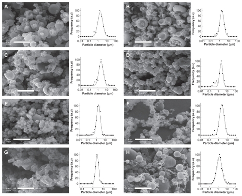 Figure 1 Scanning electron micrographs of the powders of spray-dried pure wall material microparticles. The wall material concentration in water before processing is fixed at 15 wt%. (A) whey protein, (B) gum arabic, (C) Kleptose®, (D) Nutriose®, (E) maltodextrin, (F) Cleargum®, (G) Lycoat®, and (H) polyvinyl alcohol. Scale bar 10 μm.