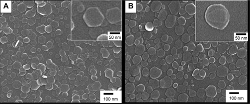 Figure S2 Scanning electron microscopic images of (A) pristine LDH, and (B) LDH-MTX nanohybrid in distilled water, respectively. The inset images (A and B) correspond to the enlarged images for pristine LDH and LDH-MTX, respectively.Abbreviations: LDH, layered double hydroxide; LDH-MTX, layered double hydroxide-methotrexate.