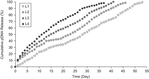 Figure 4.  Effect of TPP concentration on release behavior of CS-NPs.