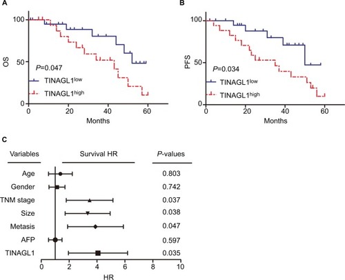 Figure 2 TINAGL1 is a biomarker of HCC and associated with poor prognosis.Notes: Kaplan–Meier curves showing OS (A) and PFS (B) of TINGL1high and TINAGl1low HCC patients. (C) Forest plot showing that TINAGL1 overexpression is an independent prognostic factor for OS.Abbreviations: HCC, hepatocellular carcinoma; OS, overall survival; PFS, progression-free survival.