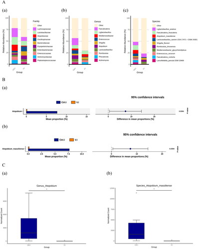 Figure 4. (A) Community composition of the gut microbiota among the control group and the Violin group of laying hens were analysed at the family (a), genus (b) and species (c) levels, respectively. (B) Welch’s test indicated significant differences at the genus (a) and species (b) levels. (C) MetagenomeSeq results exhibited significant differences at the genus (a) and species (b) level.