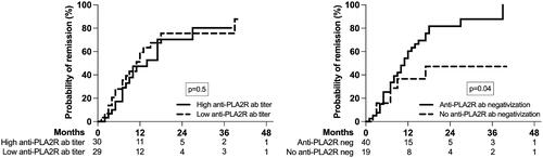 Figure 3. Probability of remission according to anti-PLA2R antibodies titer at baseline (high versus low based on the median value) and the anti-PLA2R antibodies negativization at three months after diagnosis and treatment; the number of patients at risk is shown below the graph.