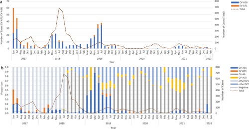 Figue 2. (a) The monthly distribution of all HFMD inpatients from 2017 to 2022 in the Public Health Clinical Center of Chengdu; (b) Serotype distribution of Enteroviruses positive HFMD inpatients in the Public Health Clinical Center of Chengdu.