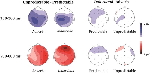 Figure 4. Scalp topographies of the difference in N400 amplitude (upper panel) and in post-N400 positivity (lower panel) in response to plain-predictable vs. plain-unpredictable words (left panels), and in response to words following an adverb vs. inderdaad (right panels).