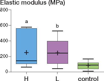 Figure 3. The elastic modulus of the H and L groups was higher than that of the control group (H group vs. controls: a p = 0.04; L group vs. controls: b p = 0.03).