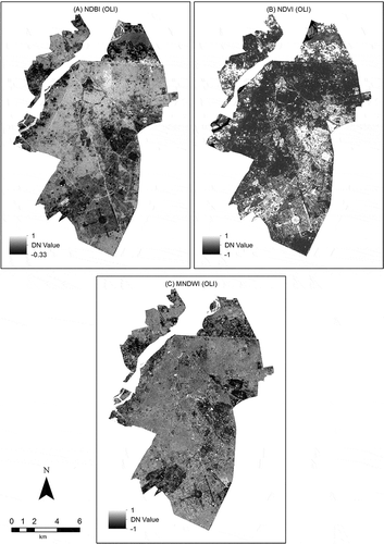 Figure 6. The resultant images of (A) NDBI, (B) NDVI and (C) MNDWI derived from the Landsat-8 OLI image.