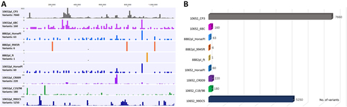 Fig. 6 Genetic diversity of the Australian equine epizootic C. psittaci strains.a Distribution of polymorphisms (variants including SNPs and indels) across the chromosome of the equine strains from this study in comparison to distantly, as well as closely related strains. No. of variants (y-axis) are represented as histograms in a 10 kbp chromosomal region (x-axis), and were determined by read mapping of the query strain to the nominated reference strain genome (e.g., 10652pl reads mapped to CP3 genome; 8882pl reads mapped to HorsePl genome). b Total number of variants for each read mapping represented in a line graph