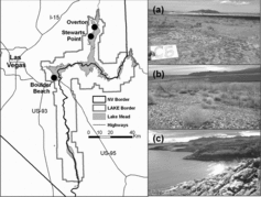 Figure 2 Locations of study sites along the shoreline of Lake Mead within Lake Mead National Recreation Area (LAKE). Pictures of formerly disturbed sites showing differences in topography among (a) Boulder Beach, 9 years since submersion; (b) Overton, 12 years since submersion, and (c) Stewarts Point shoreline 3 years since submersion are shown.