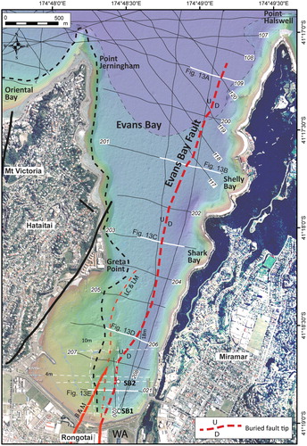 Figure 12. Map of the active Evans Bay Fault. The inner edge of mud deposition associated with the upper seismic unit is depicted as the dashed black line. The extent of subsurface gas masking in the northern part of the bay is represented by the purple mask in the north of Evans Bay. Blue lines with labels are bathymetric contours. Boreholes SB1 and SB2 in southern Evans Bay are shown as white dots. Thin black lines and white italicised labels show the boomer profile locations associated with the IKA1303 survey (see also Figure 2), unless specified. Thin white dashed lines are older profiles presented by Lewis and Mildenhall (Citation1985). White lines indicate profiles illustrated in Figure 13. The onshore extension of the Evans Bay Fault in Rongotai (bold red, including line labelled B&M) is modified from Begg and Mazengarb (Citation1996). For comparison with our results, the thin red dashed line with label LC&LM was the inferred active trace of the Evans Bay Fault as mapped by Lewis and Carter (Citation1976) and Lewis and Mildenhall (Citation1985). WA, Wellington Airport.