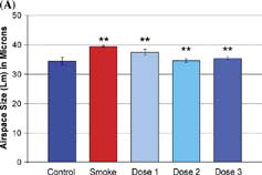 Figure 3 Airspace enlargement in response to cigarette smoke exposure. (A) Smoke-treated mice (Smoke) have increased emphysema when compared with age-matched, non-smoke-exposed control mice (Control). Ilomastat-treated mice exhibited significantly less airspace enlargement in all 3 dose groups (dose 1, dose 2, dose 3). Double asterisks represent p values < 0.005 vs. control (smoke-treated group), and vs. smoke-treated group (dose 1, dose 2, dose 3), see “Results.” (B) Representative mid-sagittal slices, stained with H&E, as described in “Materials and Methods,” from control, smoke-treated, and smoke and inhaled mid-dose ilomastat-treated mice (dose 2). Note high level of protection against the development of emphysema in ilomastat-treated sample.