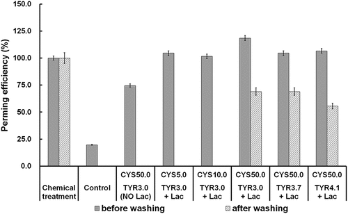 Figure 5. Perming efficiency (PE) of tyrosine-grafted hair without and with L-cysteine pre-treatment compared to chemical treated and control samples.