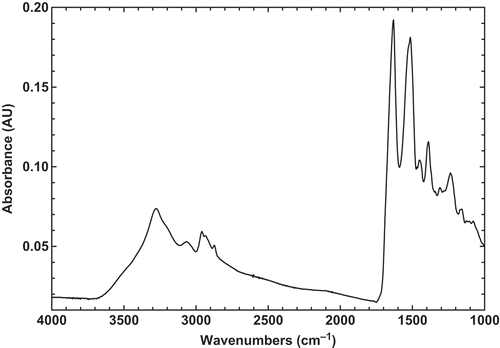 FIGURE 1 Original FTIR spectra of pure state of BLG powder at room temperature.