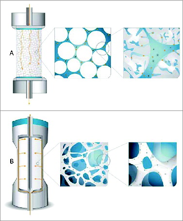 Figure 1. Scheme illustrating the ability of virus particles to reach active binding sites in columns packed with porous particles (A) and CIM monolithic columns (B).