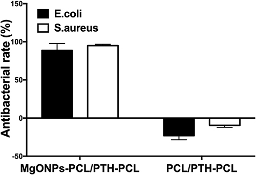 Figure 5 Antibacterial effects of MgONPs-PCl/PTH-PCL and PCL/PTH-PCL against S.aureus and E. coli. Values are mean ± SD from 3 independent experiments.