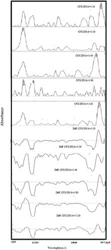 Figure 11. FTIR spectra of the free calf-thymus DNA and ciprofloxacin complexes at different molar ratios in the region of 1800–600 cm−1 in aqueous solution.
