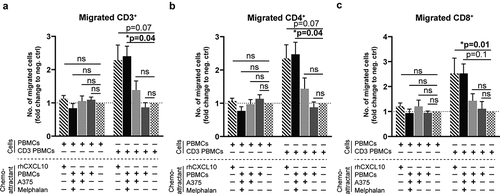 Figure 7. Activated T cells migrate toward supernatants from melphalan-exposed melanoma cells