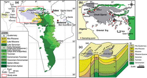 Figure 1. Simplified geological map of southern Tunisia showing the study area (a), sampling points (b) and a bloc diagram (c) of the Chott Djerid aquifer system.
