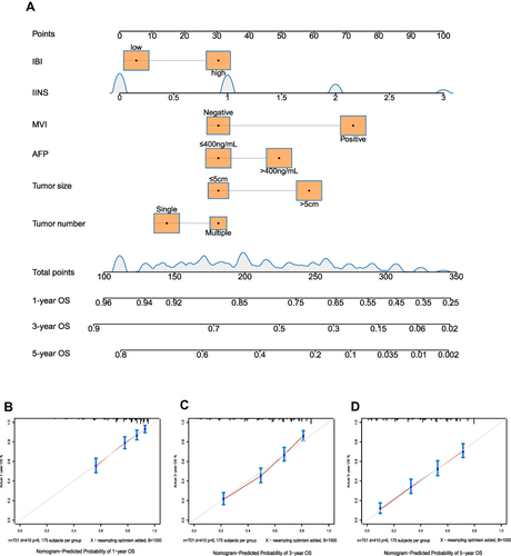 Figure 6 Model 3 to predict OS of HCC patients after hepatectomy. (A) Nomogram of the model. (B–D) Calibration curves for OS at (B) 1 year, (C) 3 years and (D) 5 years.