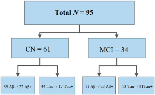 Figure 1. Flowchart of participants grouped by cognitive status and Aβ and Tau status.The flowchart illustrates how many Aβ-/ Aβ+ and Tau-/Tau + participants were included in the CN and MCI sub-samples. N = sample size; CN = cognitively normal; MCI = mild cognitive impairment; Aβ-/+ = CSF Aβ42/40 ratio above/below cutoff; Tau-/+ = CSF p-tau concentration below/above cutoff.