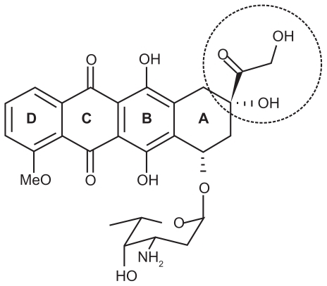 Figure 7 Chemical structure of doxorubicin.