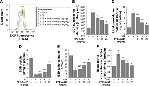 Figure 5 Modulatory role of PPE-AuNP in the alteration of STZ-induced oxidative stress indices. (A) Representative flow cytometric dot plot showing intercellular DCF fluorescence of the isolated renal cells. Cells were isolated from the respective murine kidney tissue after the completion of STZ and PPE-AuNP treatment. (B) Bar graph showing relative DCF fluorescence intensity of renal cells. Representative bar graphs showing (C) LPO, (D) SOD activity, (E) intercellular GSH, and (F) tissue nitrite formation. Values are represented as mean ± SEM (n=6). P<0.05 was considered as significant. Statistical comparison: *Control vs STZ; **STZ vs STZ + PPE-AuNP (5 mg/kg); ***STZ vs STZ + PPE-AuNP (15 mg/kg); #STZ vs STZ + PPE-AuNP (25 mg/kg).Abbreviations: AuNP, gold nanoparticle; GDH, glutathione; LPO, lipid peroxidation; NS, nonsignificant; PPE, pomegranate peel extract; SEM, standard error of mean; SOD, superoxide dismutase; STZ, streptozotocin.