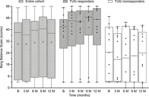 Figure 5 Berg Balance Scale scores of the entire cohort (n=20), and responders (n=10) and nonresponders (n=10) to TUG test at baseline (B), 3, 6, 9, and 12 months.