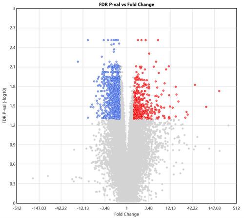 Figure 1 Differentially expressed genes (DEGs) in coronary artery disease (CAD) patients, compared to controls, generated using Transcriptome Analysis Console 4.1. Colored dots represents up- and down-regulated transcripts (red and blue, respectively). Grey dots  represents transcripts not classified as DEGs due to either high FDR p-value (y-axis) or low fold change (FC; x-axis). The significance threshold was determined at FC > 1.5 and FDR p-value < 0.05.
