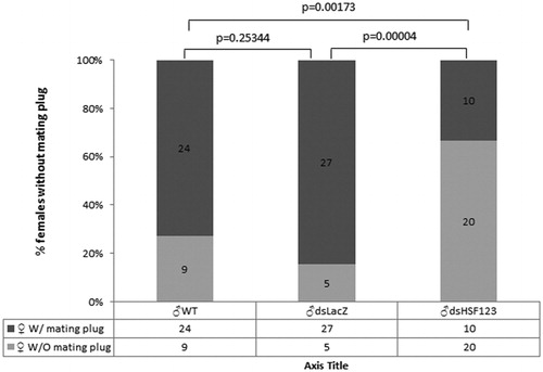 Figure 3. Females mated to Hsf-silenced males fail to receive mating plug. 4 days old virgin females were mated with dsHSF123-males (experimental group) and with the two control groups (dsLacZ and WT). Mating couples were collected and females were euthanized using CO2 and dissected to ascertain the presence of the mating plug in the atria. The data represent two independent biological replicates. Each histogram represents the total number of females without the mating plug versus the total number of females present in that group. A total of 30 females mated with dsHSF123 males, 32 females mated to dsLacZ and 33 females mated with WT males were considered. The differences between experimental and control groups were statistically significant with p<0·001 as assessed using the contingency χ2 test.