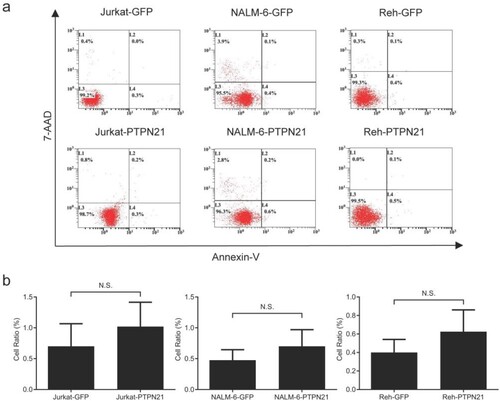 Figure 2. Excessive PTPN21 had no effects on apoptosis of Jurkat, NALM-6, or Reh cells. (a) Annexin V/7-AAD assay results reveal that overexpression of PTPN21 did not affect apoptosis of ALL cells. (b) Quantification of the Annexin V/7-AAD results. N.S., no significance.