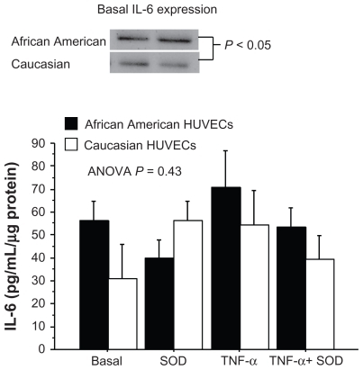 Figure 5 IL-6 concentrations under each of the experimental conditions in African American and Caucasian HUVECs.