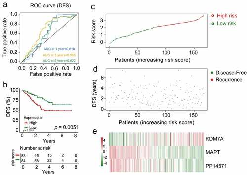 Figure 6. The multi-genes prognostic signature in the prediction of survival in patients who had CRCB within the training dataset. (a) Kaplan-Meier curves related to overall survival between high-risk patients and low-risk patients within the dataset for training. (b) ROC curve in relation to predicting survival via the multi-genes prognostic signature within a period of five years considered as the training dataset defining point. (C, D, E)The distributive pattern of the three-gene risk scores, overall survival in patients as well as heatmap of four-gene profiles of expression within the dataset for training