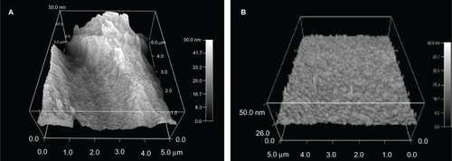 Figure 4 Atomic force microscopy images of polyvinyl chloride endotracheal tubes treated with (A) 0.1% Rhizopus arrhisus solution (Nano-R) for 48 hours compared with (B) untreated polyvinyl chloride samples.
