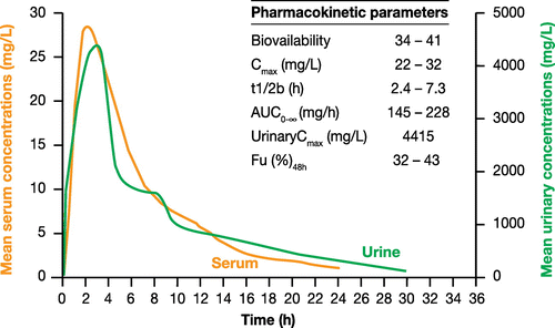 Figure 2 Mean serum and urinary drug concentrations after a single oral 3 g dose of fosfomycin trometamol.Citation57