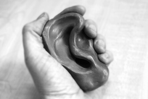 Figure 3. Ear.