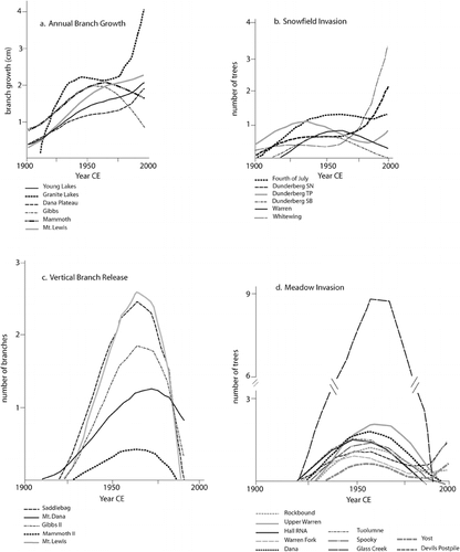 FIGURE 3. Third- and fourth-order polynomial curves derived from fitting ecological data by mixed-model ANOVA to calculate differences among sites, and regressing year against growth. The results are plotted as site × regression interaction curves showing modeled heterogeneity of response among sites. a. Annual branch growth (cm yr−1), b. Snowfield invasion (number of trees per year), c. Vertical branch release (number of branches per year), D. Meadow invasion (number of trees per year)