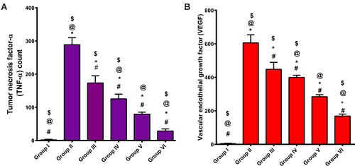 Figure 12 Effects of mizolastine pre-treatment and post-treatment on histamine-induced increase in expression of TNF-α (A) and VEGF (B) in rabbit conjunctivae in comparison with normal and positive-control groups.