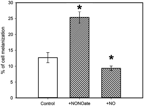 Figure 8. The quantity of melanized haemocytes in samples after incubation with PAPA/NO (NO generation rate of 30 μM/min) and bolus addition of NO (25 μM). *p ≤ 0.05 in comparison with the control samples.
