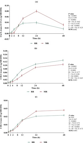 Figure 3. Changes in cis-9, trans-11 CLA (a), C18:1 trans-11 (b) and C18:1 trans-10 (c) concentration during incubation. Presented valuse are Ls-means for whole flaked raw rapeseed (RR) and micronized whole flaked rapeseed (MR). Error bars represent the standard error of mean.