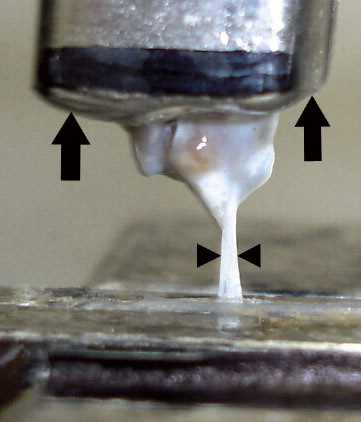 Figure 1. Optical strain measurement system. The humeral shaft is embedded in the metal (arrows). The supraspinatus tendon strip (arrowheads) is clamped using fine-grit sandpaper.