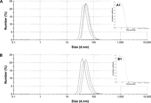 Figure 1 Profile of droplet size distribution of the nanoemulsions.Notes: Representative graphs of the droplet size distribution of the nanoemulsion without (A) and with the extract (B) of Rapanea ferruginea stem bark, and respective correlation rate graphs (A1 and B1 inserts).