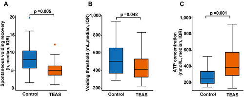 Figure 3 Postoperative spontaneous voiding recovery and urinary ATP. (A) spontaneous voiding recovery, (B) Voiding threshold, (C) ATP concentrations (n=30 in the TEAS group; n=30 in the control group).