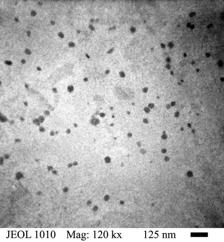 Figure 4. TEM of BA/PEGDMA latex particles obtained from relation 90/10% wt