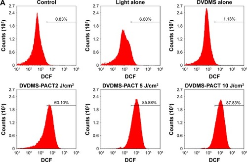 Figure 4 ROS detection by flow cytometry.Notes: ROS production in Staphylococcus aureus/MDR S. aureus was measured after DVDMS-PACT treatment. Bacteria were preincubated with H2-DCF-DA (10 μM), followed by illumination exposure at different light doses of 10, 30, and 50 J/cm2 in the presence of DVDMS (5 μM). Cytofluorometric profiles represent the distribution of bacterial cells after staining with H2-DCF-DA (S. aureus [A], MDR S. aureus [B]). Control, negative control; light alone, only irradiation 50 J/cm2 light dose; DVDMS alone, bacteria treated with 5 μM DVDMS alone. **P<0.01 vs untreated controls; #P<0.05 for S. aureus vs MDR S. aureus. (C) Distribution of the intensity of DCF + bacteria in different groups.Abbreviations: DA, diacetate; DCF, dichlorodihydrofluorescein; DVDMS, sinoporphyrin sodium; MDR, multidrug-resistant; PACT, photodynamic antimicrobial chemotherapy; ROS, reactive oxygen species.
