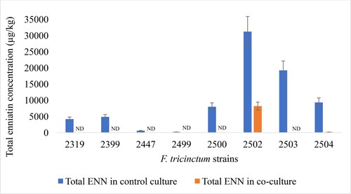 Figure 5. Total enniatin (ENN) concentration in control cultures and in co-cultures. ND: not detectable.