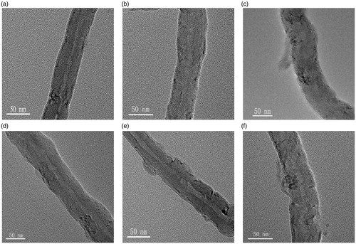 Figure 1. TEM images of (a) MWCNTs-COOH, (b) CS/MWCNTs, (c) FA-CS/MWCNTs, (d) MWCNTs-Iri, (e) CS/MWCNTs-Iri and (f) FA-CS/MWCNTs-Iri.